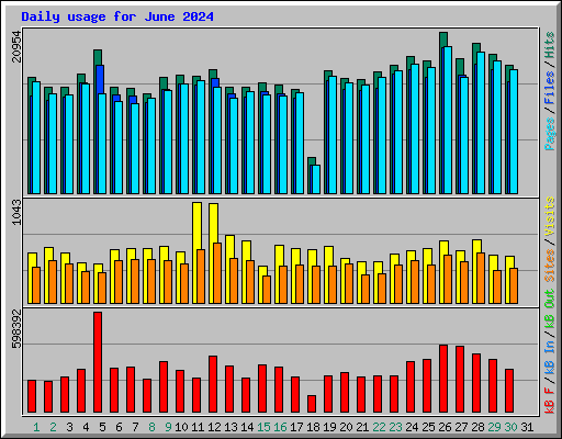 Daily usage for June 2024