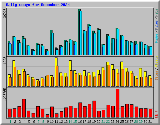 Daily usage for December 2024