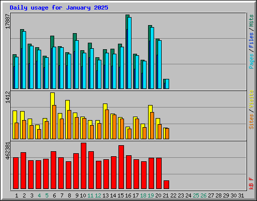 Daily usage for January 2025