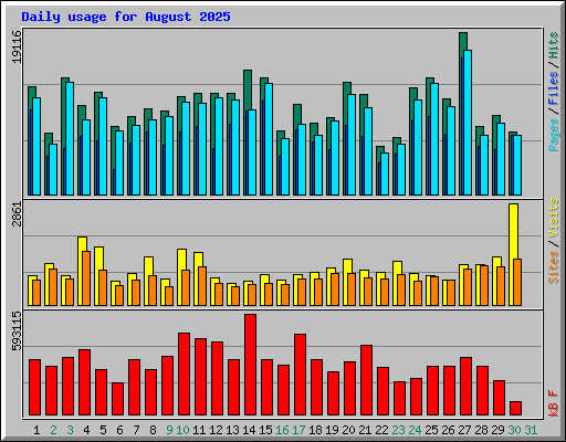 Daily usage for August 2025