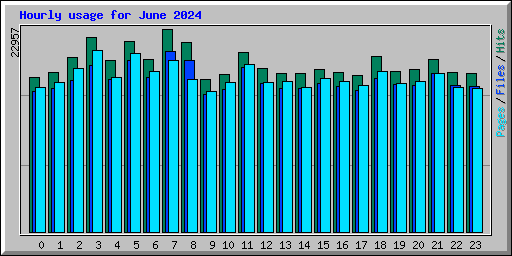 Hourly usage for June 2024