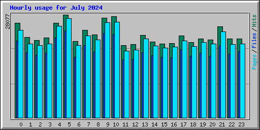 Hourly usage for July 2024