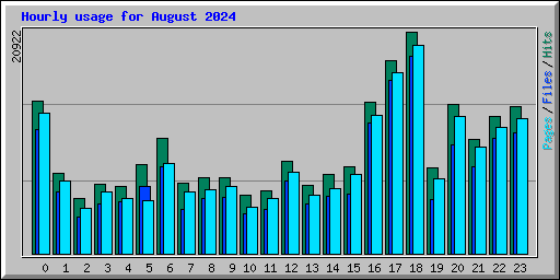 Hourly usage for August 2024