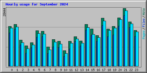 Hourly usage for September 2024