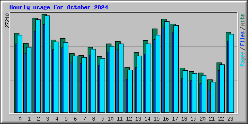 Hourly usage for October 2024