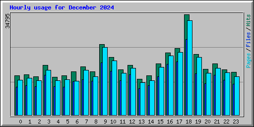 Hourly usage for December 2024