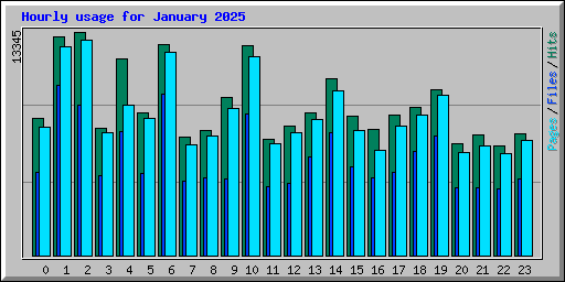 Hourly usage for January 2025