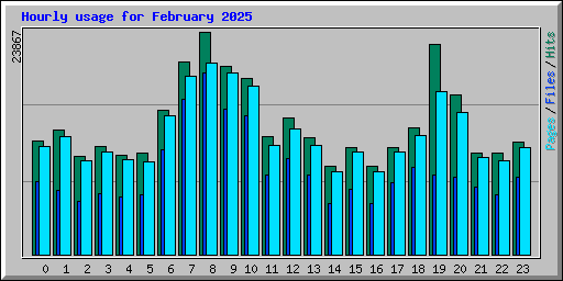 Hourly usage for February 2025