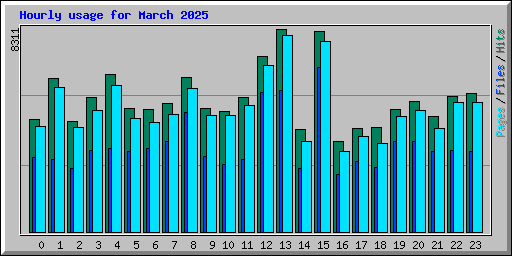 Hourly usage for March 2025