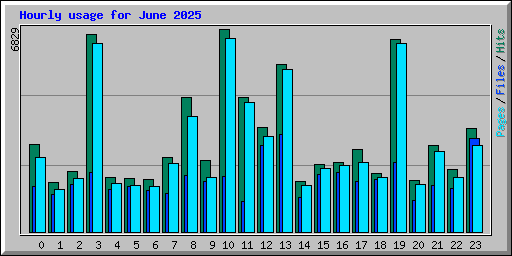 Hourly usage for June 2025