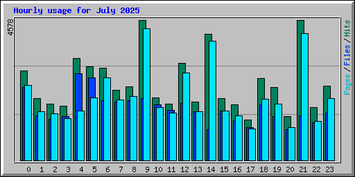 Hourly usage for July 2025