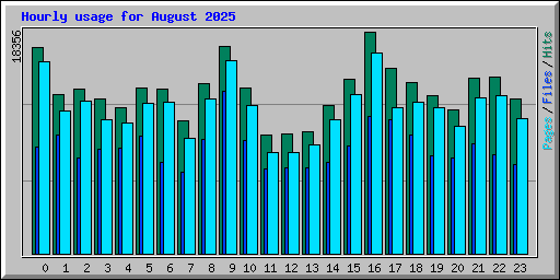 Hourly usage for August 2025