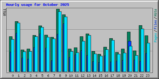 Hourly usage for October 2025