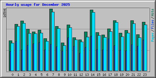 Hourly usage for December 2025