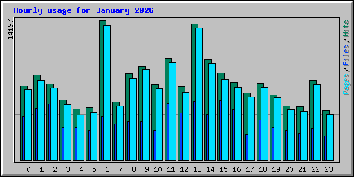 Hourly usage for January 2026