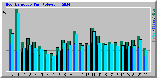 Hourly usage for February 2026
