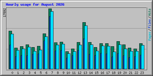 Hourly usage for August 2026