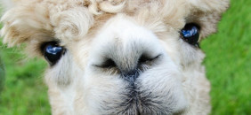 30.08.2019 Private Party